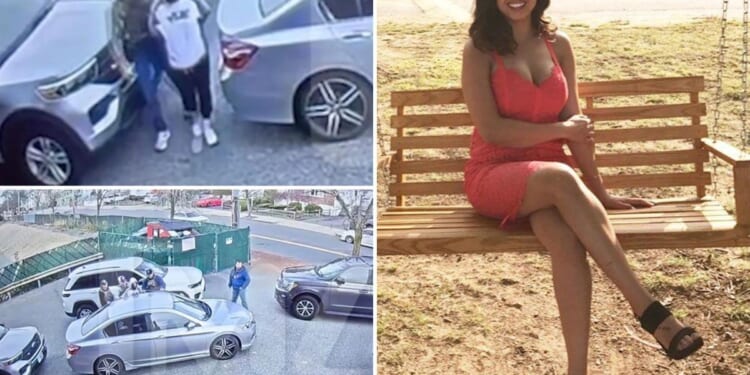 Bruna Carolina Ferreira, mother of Karoline Leavitt's nephew, detained as illegal alien in video