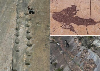 16,000 fossil footprints in central Bolivia reveal dinosaur behavior