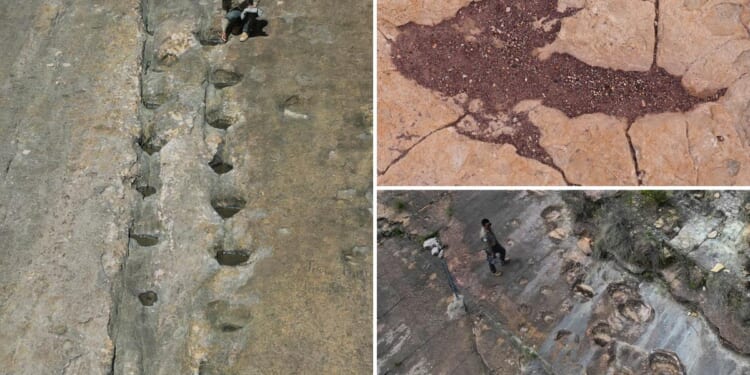 16,000 fossil footprints in central Bolivia reveal dinosaur behavior