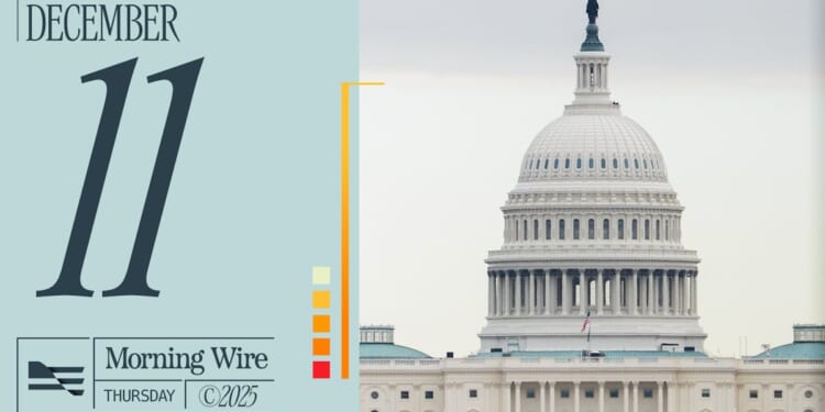 DEI Fraud Exposed, Mamdani’s Radical Moves, & Minnesota Scandal Reveals Fault Lines