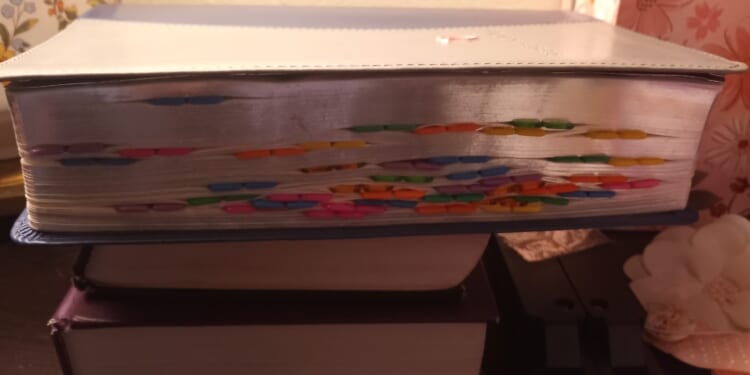 My Prayer Bible | Plain Christian Wife