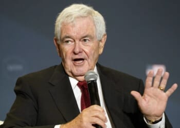 Gingrich: 'Republicans are in real trouble' if economy doesn't 'recover'