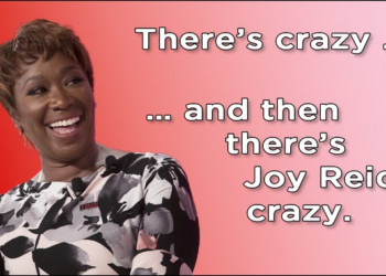 Joy Reid Says She Got a Nazi-Like Vibe From Senior Citizens One Time at the RNC – Twitchy