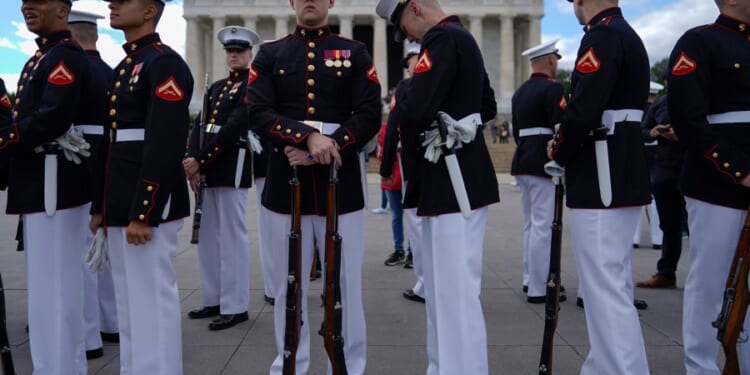 The Marine Corps just had its 250th birthday — now let's abolish it
