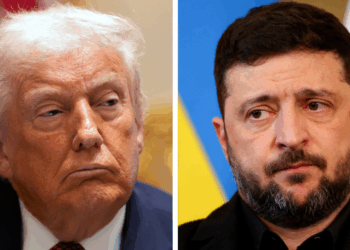 Trump says Zelensky has to start 'accepting things': ‘He’s losing’