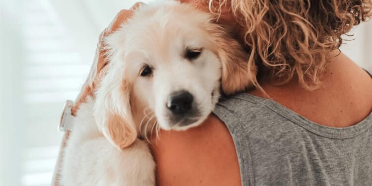 Dear Abby: My puppy died nine months ago -- but my husband doesn't understand my grief