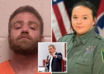 Tennessee launches US's first public database tracking domestic abusers