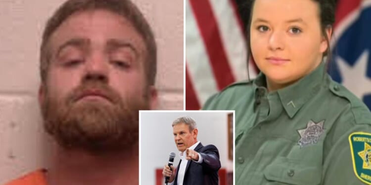 Tennessee launches US's first public database tracking domestic abusers