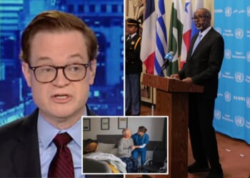 Somali ambassador to UN is linked to shady Ohio health care company: HHS official