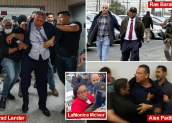 Democrats who have been arrested or detained over anti-ICE aggression