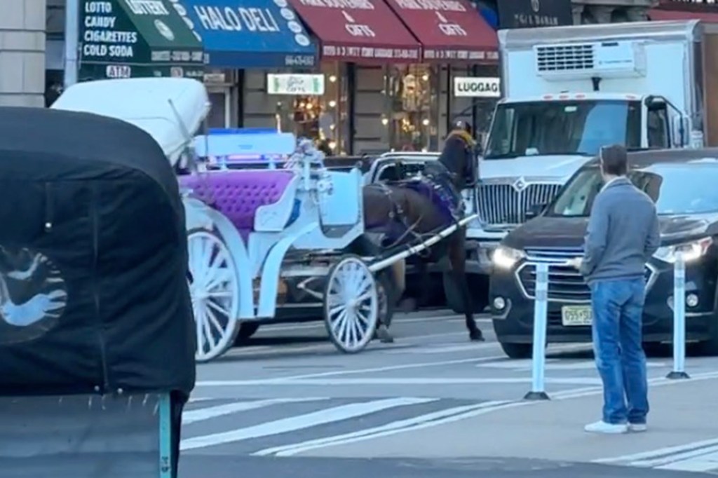 A horse-drawn carriage with purple interior and white wheels on a street with cars, a truck, and a person.