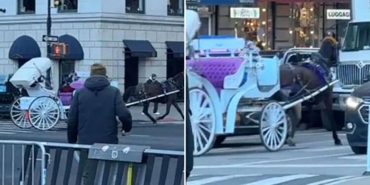 Wild video shows spooked NYC carriage horse running into Midtown traffic