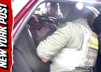 ICE agents make arrest in Minneapolis days after fatal shooting (Video)