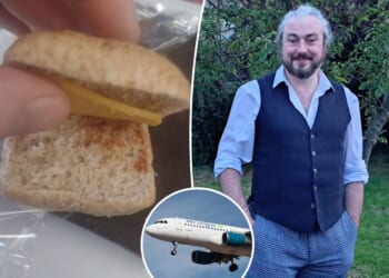 Fed-up passenger swears off airline after being served 'world's worst sandwich'