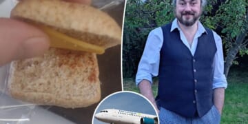 Fed-up passenger swears off airline after being served 'world's worst sandwich'