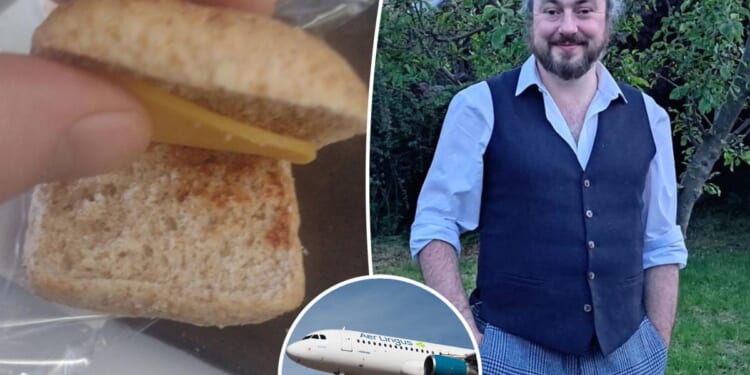 Fed-up passenger swears off airline after being served 'world's worst sandwich'