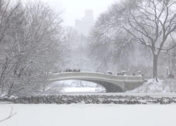 NYC wakes up to artic temperatures ahead of Winter Storm Fern