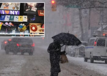 Potheads swarm cannabis shops before snowstorm