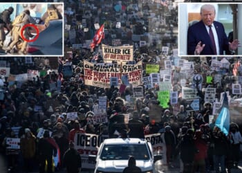 Powerful House Republican suggests Trump consider pulling ICE out of Minneapolis after Alex Pretti shooting