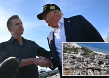 Gavin Newsom begs Trump for help rebuilding fire-ravaged LA