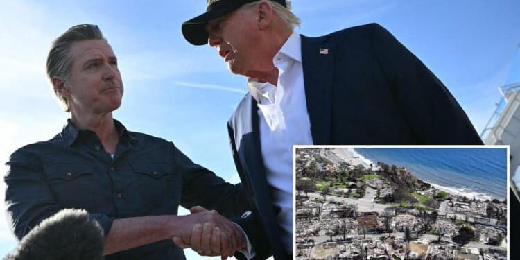 Gavin Newsom begs Trump for help rebuilding fire-ravaged LA