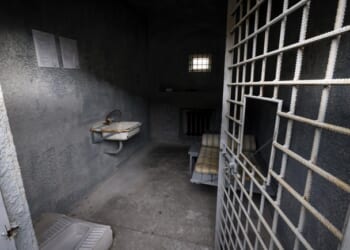 Bananas & Rice Lady Nasra Ahmed ARRESTED by DHS on Bondi's Orders – Twitchy