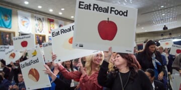 Don't just increase proteins in the Food Pyramid — help make them healthier