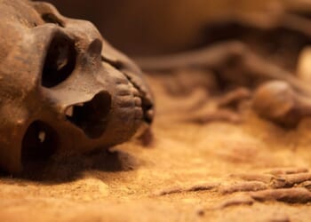 Hands, Feet, And Hundreds Of Bones Found In Pennsylvania Man’s Basement And Storage Unit