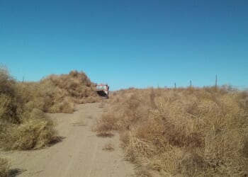 Here's the Somali Education and Resource Center – Twitchy