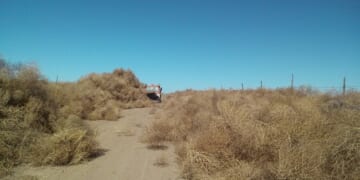 Here's the Somali Education and Resource Center – Twitchy