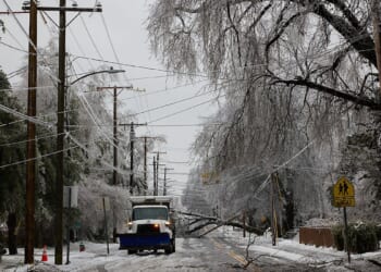 Nashville Electric CEO Touted Tree-Hugging Over Aggressive Trimming Months Before Massive Ice Storm