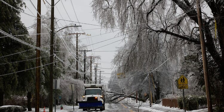 Nashville Electric CEO Touted Tree-Hugging Over Aggressive Trimming Months Before Massive Ice Storm