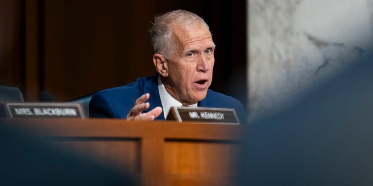 Republican calls for deeper investigation into latest Minnesota shooting growing