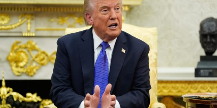 Trump takes shot at NATO, says US should have invoked Article 5 'test' for border