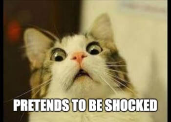 US Capitol Police Capt. Michael Byrd (Who Shot and Killed Unarmed Ashli Babbitt) Has DAMNING Side Hustle – Twitchy