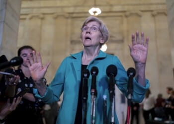 ‘The Story of Alex Pretti’ As Read by Democrat Elizabeth Warren (WATCH) – Twitchy