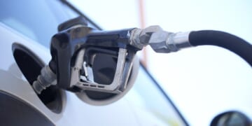 Stephen Moore Sounds the Alarm on 'Fuel Mandates and Loopholes' – Twitchy