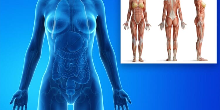 5 bizarre things you didn’t know about the female body