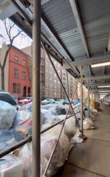 Credit: Linda Snatangelo/X.com