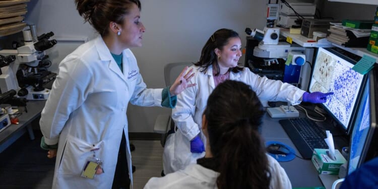 Scientists discover why 'SuperAgers' have extraordinary memory and cognitive resilience