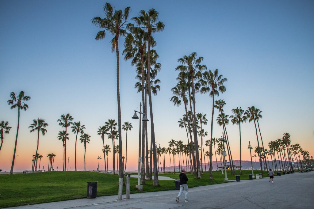 Man walking on the boardwalk in Venice Beach during sunrise with palm trees.