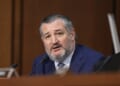 Sen. Ted Cruz Lays Waste to Officers From Netflix and Warner Brothers (And Billie Eilish) – Twitchy