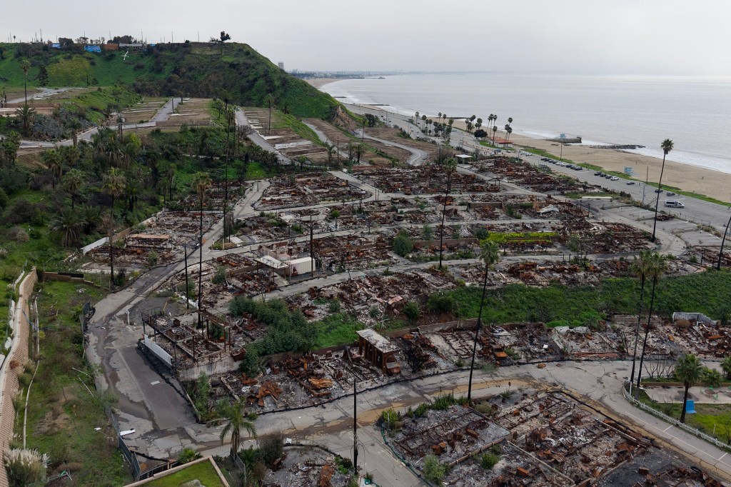Aerial view of fire-damaged homes in Pacific Palisades with empty plots, roads, and a beachfront in the background.