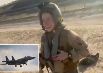 Video appears to show Kuwaitis thanking downed US pilot for battling Iran