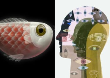 How to emotionally detox during Mercury retrograde in Pisces 2026