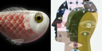 How to emotionally detox during Mercury retrograde in Pisces 2026