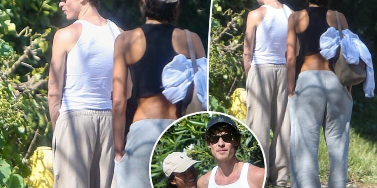 Shawn Mendes answers nature's call in public while on walk with girlfriend Bruna Marquezine