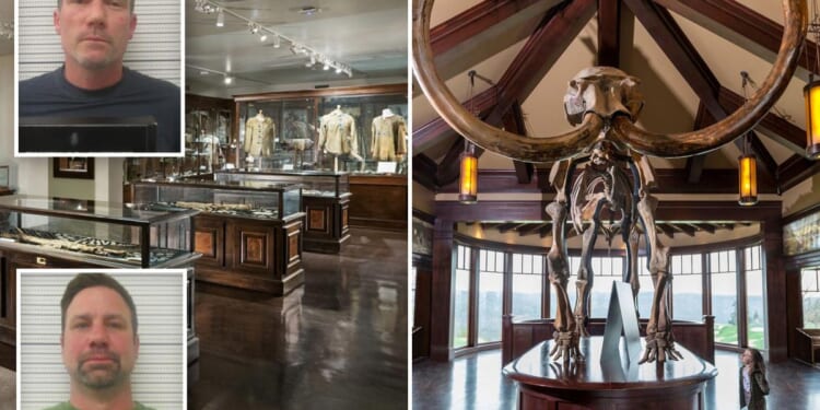 Bay Area pals smash 10,000-year-old mammoth tusk in museum