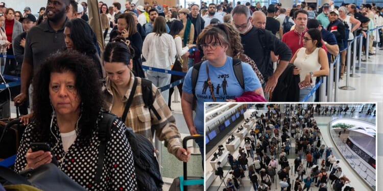 TSA being held ‘hostage’ as airport security problem is ‘going to get worse’ over DHS shutdown: top official