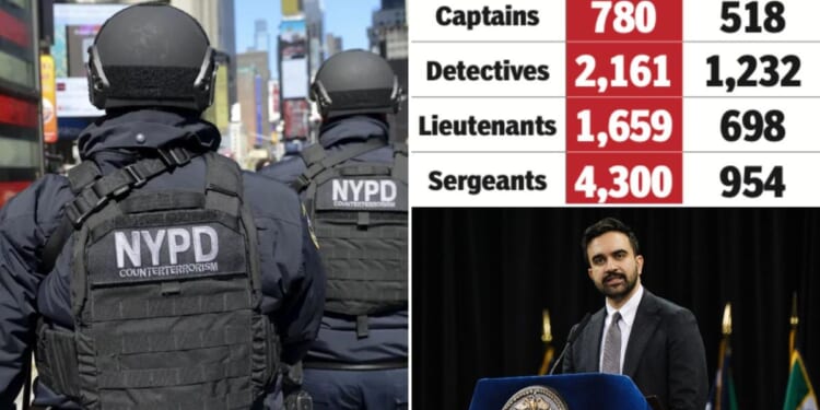 Zo no, NYPD! Experienced cops see little incentive to stay at NYPD